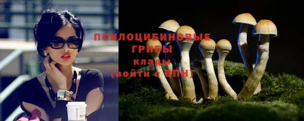 прущие грибы Баксан
