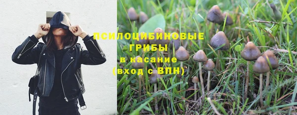 прущие грибы Баксан