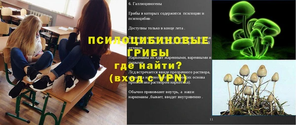 прущие грибы Баксан