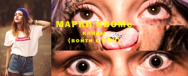 прущие грибы Баксан