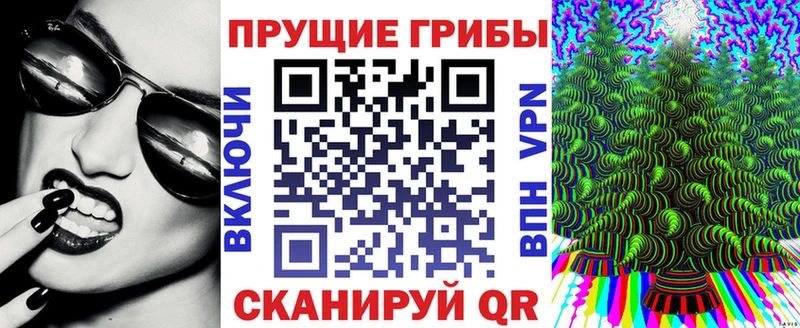 Купить закладки  Нариманов  Псилоцибиновые грибы Psilocybine cubensis 