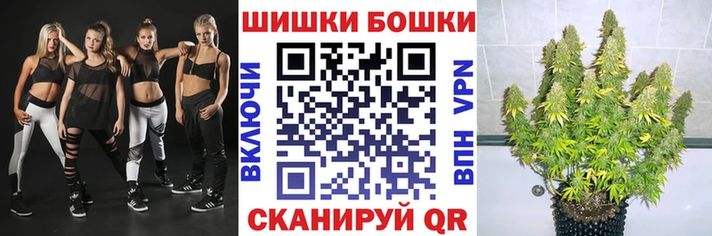Купить закладки  Нариманов  Каннабис план 